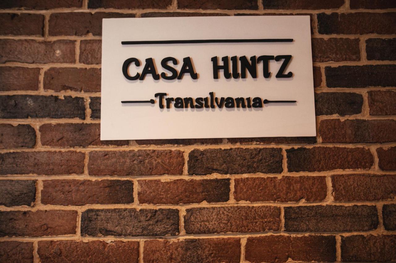 Casa Hintz Transilvania Făgăraş Dış mekan fotoğraf